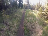 Nature Gone Wild S01E09 480p x264-mSD EZTV