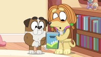 Bluey S03E28 1080p HEVC x265-MeGusta EZTV