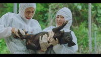 Once Upon a Small Town S01E02 XviD-AFG EZTV