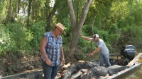 Swamp People S12E04 XviD-AFG EZTV