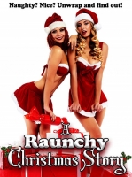 A Raunchy Christmas Story 2018 HDRip XviD AC3-EVO