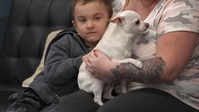Pets And Pickers S01E03 XviD-AFG EZTV Pets And Pickers S01E03 XviD-AFG EZTV