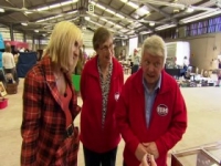 Bargain Hunt S51E03 480p x264-mSD [eztv]