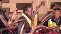 Yellowstone Wardens S03E04 XviD-AFG EZTV Yellowstone Wardens S03E04 XviD-AFG EZTV