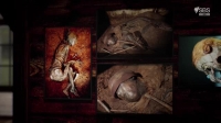 The Ascent Of Civilization S02E02 XviD-AFG EZTV The Ascent Of Civilization S02E02 XviD-AFG EZTV