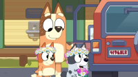 Bluey S03E49 iNTERNAL XviD-AFG EZTV Bluey S03E49 iNTERNAL XviD-AFG EZTV
