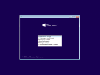 Windows 10 RS5 Enterprise LTSC December (x86-x64) Pre-Activated [AndroGalaxy]