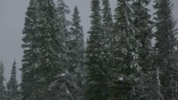Alone S09E10 1080p HEVC x265-MeGusta EZTV