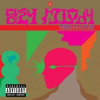 The Flaming Lips - Oczy Mlody 2017 320kbps CBR MP3 [VX] [P2PDL]