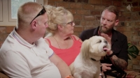 Embarrassing Pets S01E02 720p HDTV X264-CREED [eztv]