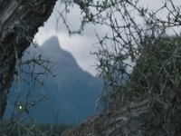 Tracked NZ S01E01 480p x264-mSD EZTV