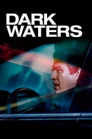 Dark Waters 2019 1080p SCREENER x264 DTS-NOGRP