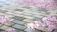 Lycoris Recoil S01E13 XviD-AFG EZTV