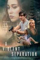 A Violent Separation 2019 720p WEBRip 800MB x264-GalaxyRG