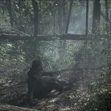 Swamp Thing 2019 S01E08 720p WEBRip X264-METCON[TGx]