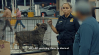 Contraband Seized at the Border S04E03 XviD-AFG EZTV Contraband Seized at the Border S04E03 XviD-AFG EZTV