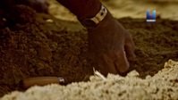 Ancient Apocalypse S01E02 1080p HEVC x265-MeGusta EZTV Ancient Apocalypse S01E02 1080p HEVC x265-MeGusta EZTV