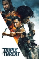 Triple Threat 2019 PROPER DVDRip x264-CADAVER[TGx]