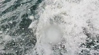 Wicked Tuna S12E01 720p HEVC x265-MeGusta EZTV