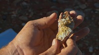Aussie Gold Hunters S08E10 720p WEB h264-B2B EZTV
