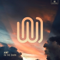 AINT_-_In_the_Dark-(WAD0311)-SINGLE-WEB-2020-ZzZz - [ ANT ]