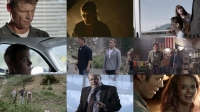 Zodiac Signs of the Apocalypse 2014 1080p BluRay x264-MELiTE