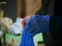 The Repair Shop S05E29 480p x264-mSD EZTV