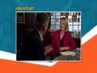 Brexitcast S01E15 480p x264-mSD [eztv]