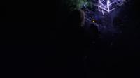 Expedition Bigfoot S05E08 720p HEVC x265-MeGusta EZTV Expedition Bigfoot S05E08 720p HEVC x265-MeGusta EZTV
