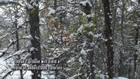Alone S10E09 720p WEB h264-BAE EZTV