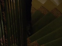 The Bachelor S27E05 480p x264-mSD EZTV The Bachelor S27E05 480p x264-mSD EZTV