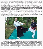 Aiki-Jujutsu - Mixed Martial Art of the Samurai Aiki-Jujutsu - Mixed Martial Art of the Samurai