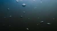 Frozen Planet II S01 BDRip x265-ION265 EZTV