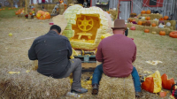 Outrageous Pumpkins S05E05 720p HEVC x265-MeGusta EZTV