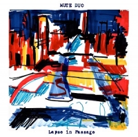 [alternative folk, ambient] (2020) Mute Duo - Lapse in Passage [FLAC] [DarkAngie]