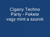 Cigany Techno Party-MFA ExtremlymTorrents