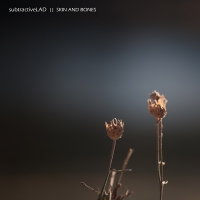 [ambient, electronic] (2020) subtractiveLAD - Skin and Bones [FLAC] [DarkAngie]