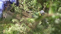 Paramedics S03E03 720p HEVC x265-MeGusta EZTV Paramedics S03E03 720p HEVC x265-MeGusta EZTV