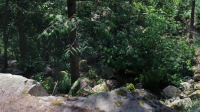 The Irrational S02E08 720p HEVC x265-MeGusta EZTV