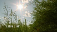 Naked and Afraid S12E02 XviD-AFG EZTV