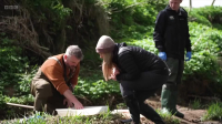 Springwatch S19E10 720p HDTV H264-NGP EZTV
