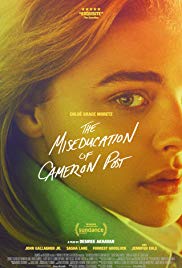 The Miseducation of Cameron Post (2018) 720p WEB-DL 330MB - ENX265