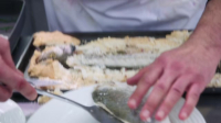 Celebrity MasterChef S19E15 720p HEVC x265-MeGusta EZTV Celebrity MasterChef S19E15 720p HEVC x265-MeGusta EZTV