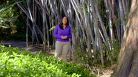 Wild Child S02E26 720p WEB h264-DiRT EZTV