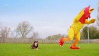 The Masked Dancer UK S01E02 XviD-AFG EZTV