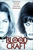 Blood.Craft.2019.HDRip.XviD.AC3-EVO[TGx]