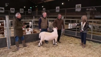 This Week On The Farm S03E01 XviD-AFG EZTV This Week On The Farm S03E01 XviD-AFG EZTV