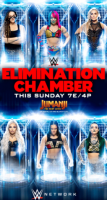 WWE Elimination Chamber 2020 PPV WEB h264-HEEL [TJET]