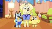 Bluey S03E37 720p WEB h264-DOLORES EZTV