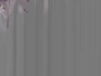 Judge Jerry S01E03 480p x264-mSD [eztv]